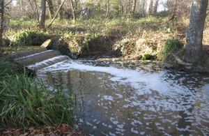 Stream flows over a stepped weir to the left of the picture and through a wooded area. There is a thin layer of foam on the water surfce