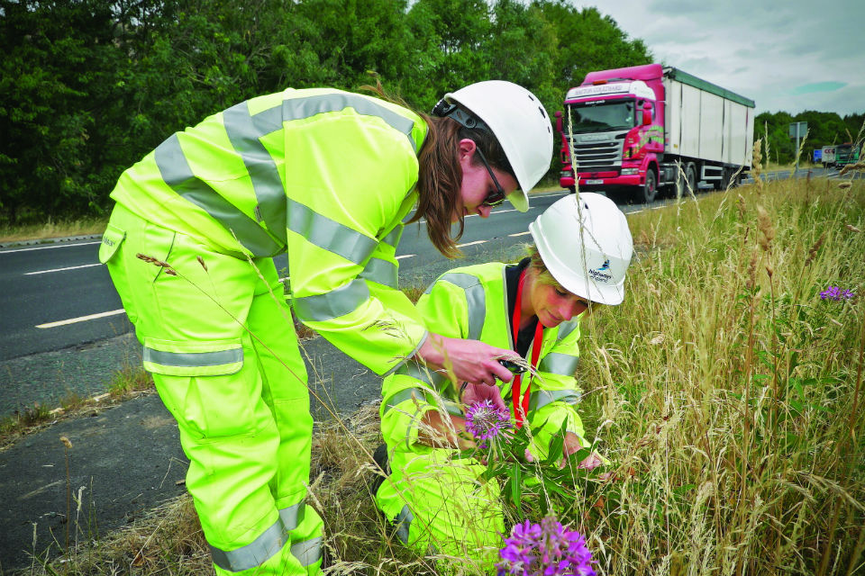 Highways England staff investigate plants along the roadside