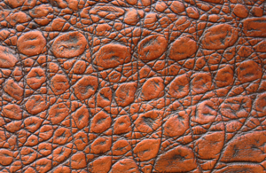 A close up shot of leather.