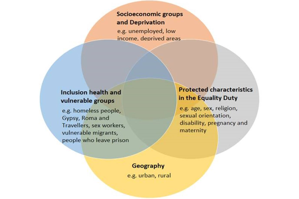 Health Equity Assessment Tool (HEAT): Executive Summary - GOV.UK