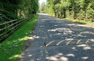 Image showing the long driveway to the lakes.