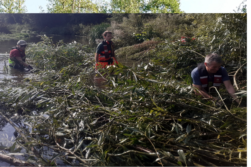 Volunteers and staff using willow to build a woody habitat berm on the River Avon.