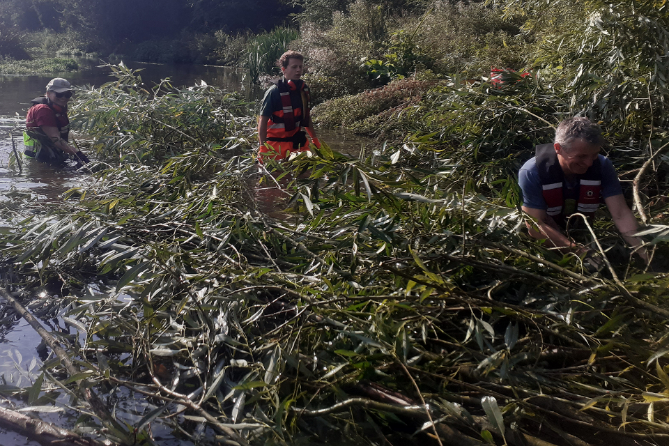 Volunteers and staff using willow to build a woody habitat berm on the River Avon.
