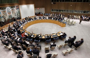 UN Security Council