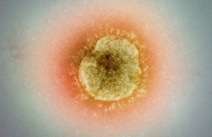 Coronavirus