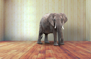 'The elephant in the room' represents low public awareness surrounding radioactive waste disposal