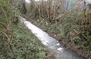 A picture of the effluent leak in a stream.