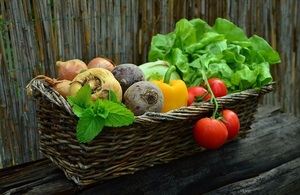 Image of various colourful vegetables in a basket.