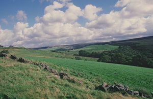 Green fields. Credit: Natural England.