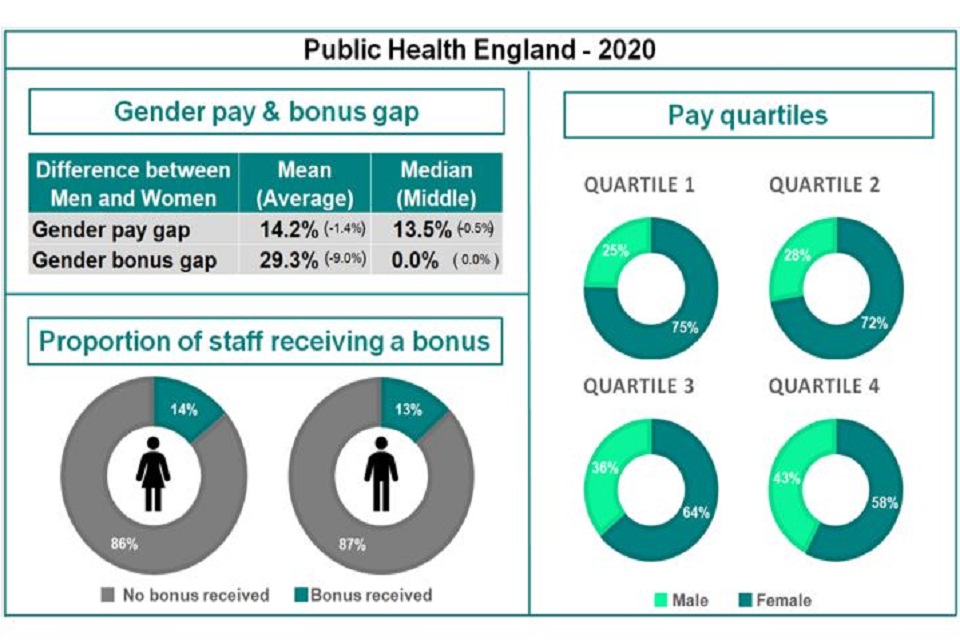 Dhsc Gender Pay Gap Report And Data 2020 Gov Uk Free Hot Nude Porn