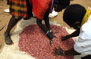 Maria spreads out recently harvested beans to dry. Picture: Lydia Wamala/WFP