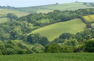Sloping fields separated by hedgerows