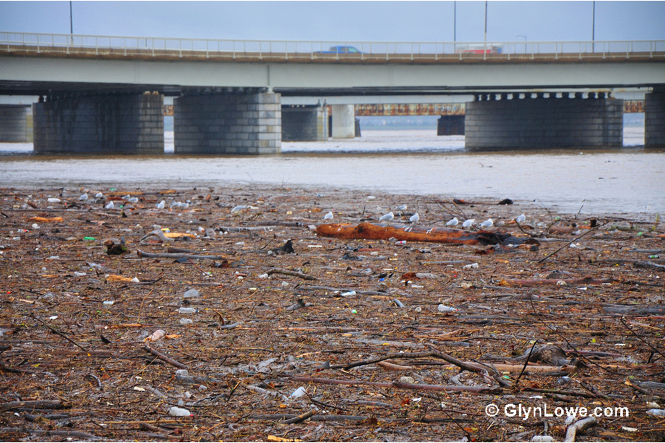 Log jam on the Potomac River