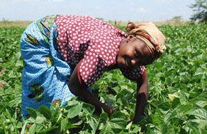 Mary Nambura, bean picker, Kenya. Picture: Green Shoots Productions