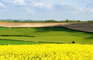 Landscape image of a field.