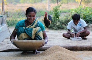 Tunu's wife sifts grain while their son studies his schoolwork. Picture: Diwakar Mani.