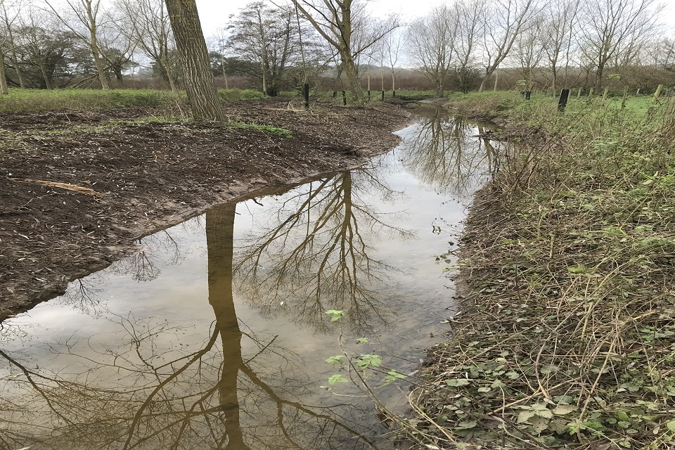 The marsh dyke after our project.