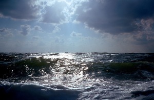 sea