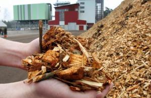 Biomass