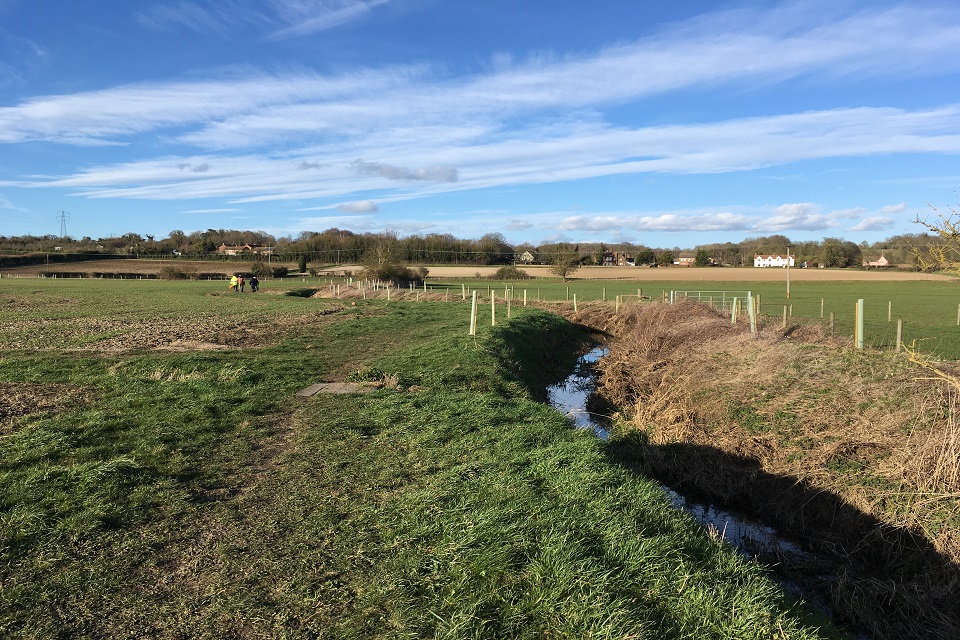 The trees planted along a Suffolk river.