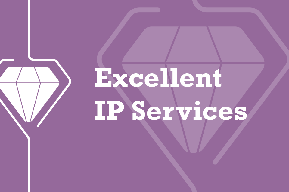 Excellent IP services