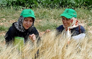 Barley farmers discuss crop traits during a conference field trip