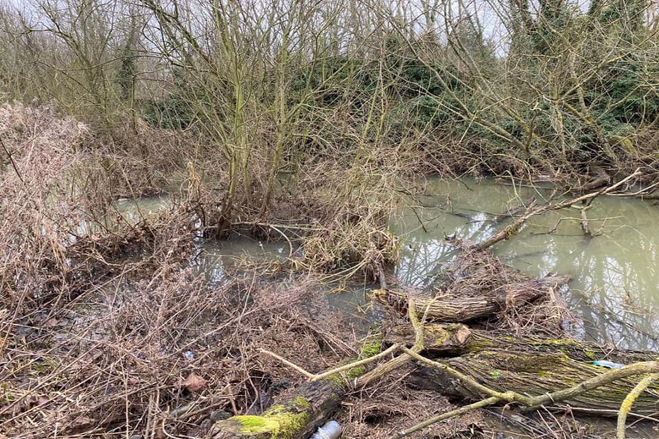 Overgrown vegetation covering a section of the river, the picture was taken before the partnership project.