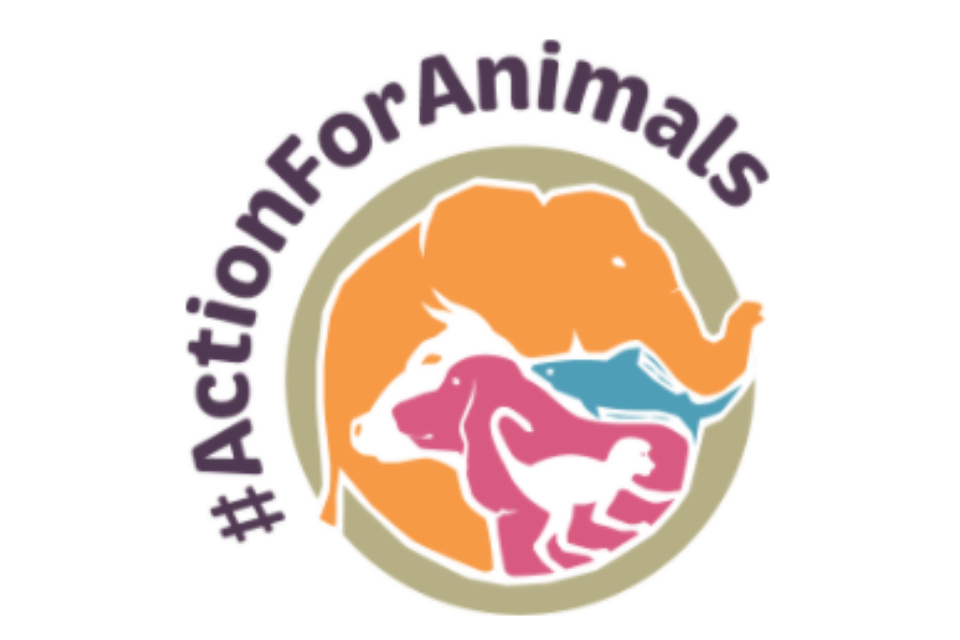 UK to lead the way on animal welfare through flagship new Action Plan -  