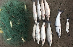 Images shows the recovered gill net and some of the dead fish