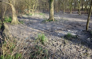 An area of parkland and treed surrounded by sewage on the ground
