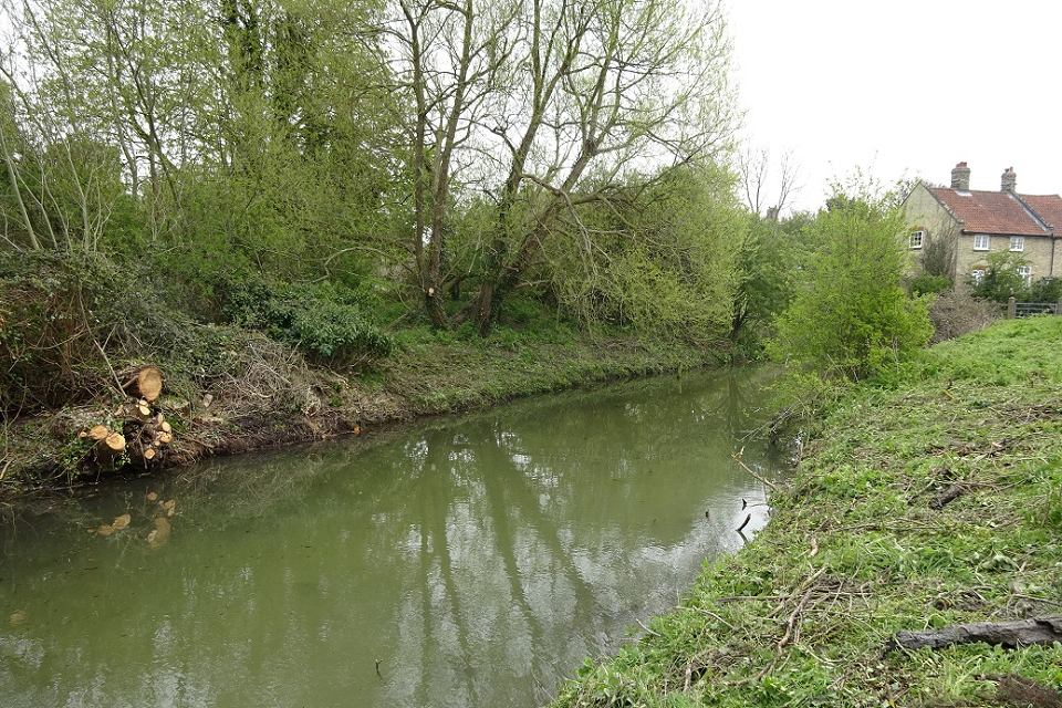The same stretch of the river Cam as above but with the Floating Pennywort removed.