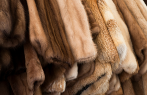 A photo of fur coats on a clothes rail