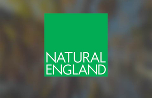 Green Natural England logo with white words