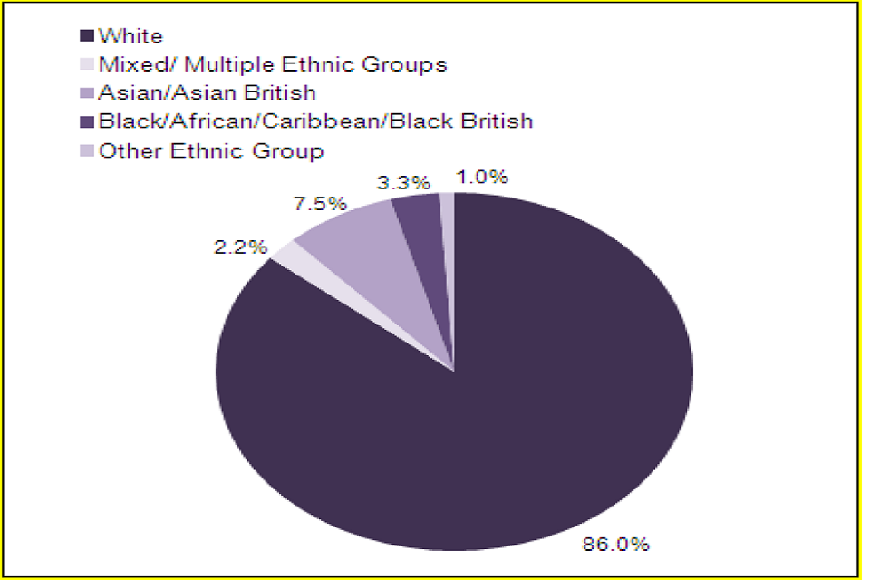 Pie chart of percentage of ethnic groups in 2011.