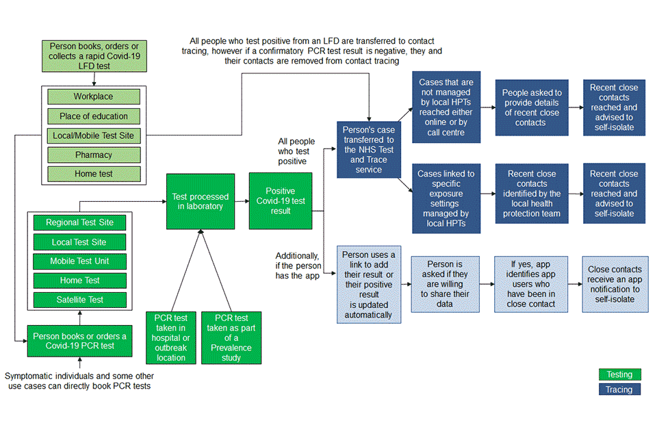 Nhs Flow Chart Flowchart Examples