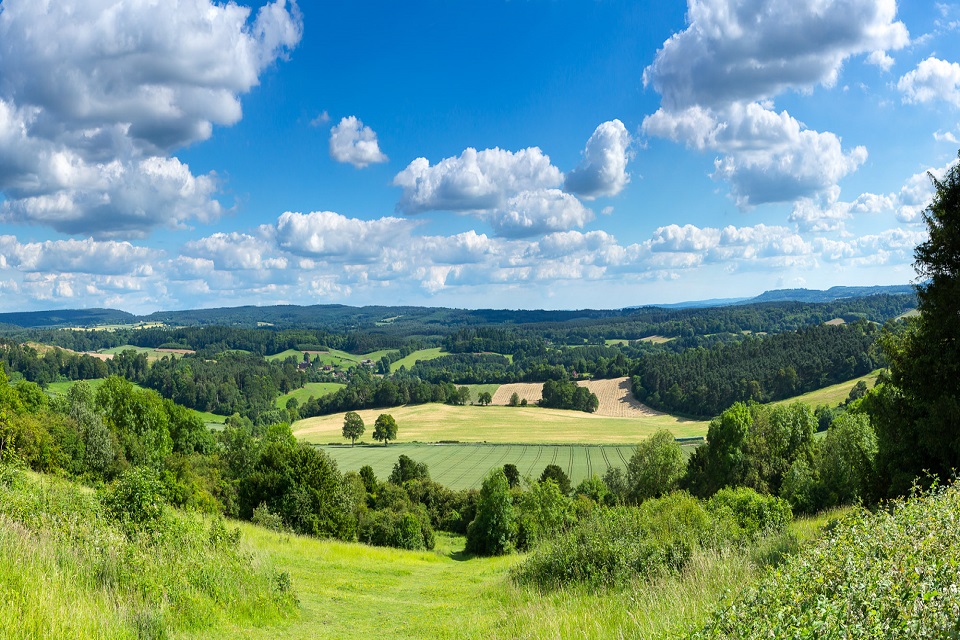 Image shows the view across a wide, shallow valley with brightly lit trees in the foreground extending to darker trees in the distance