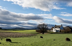 Scottish rural landscape