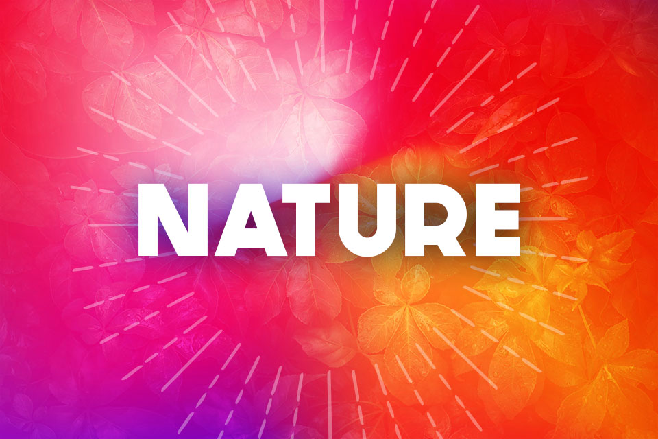 Nature header image for rediscover summer guide