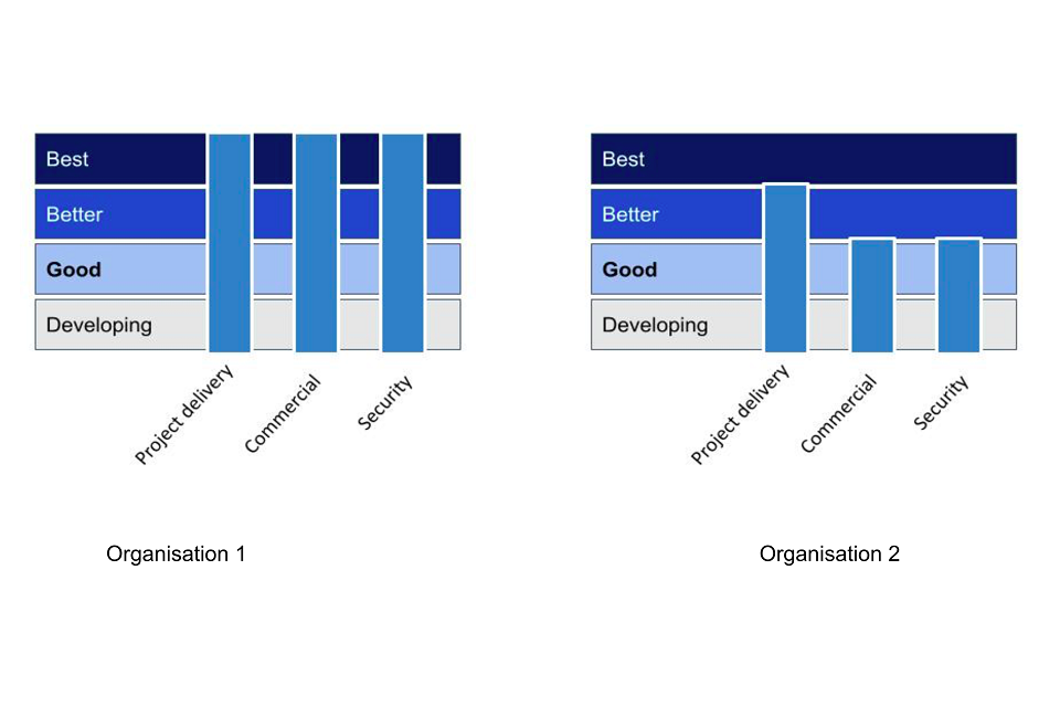Different levels of ambition can be set by organisations to meet the needs of a business.