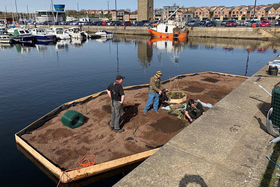 The image shows a floating ecosystem on the Royal Quays Marina 