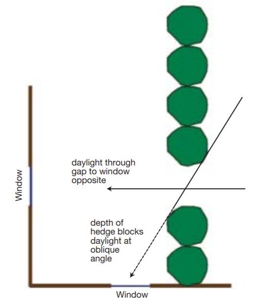 Hedge height and light loss GOV.UK