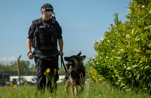 Dog handler and police dog on patrol