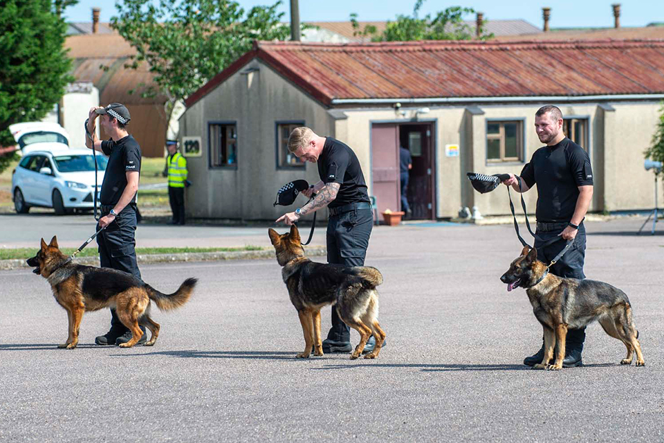 Police dog ‘Bonnie’, one of four new puppies to join the MDP Dog Unit