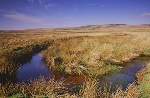 Image of Dartmoor National Park peatlands with river