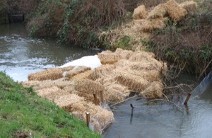 The picture shows the pollution on the Mother Drain and how it was contained.
