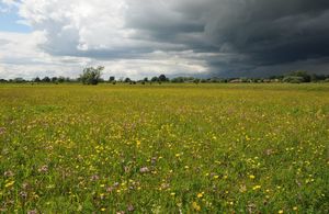 Hay meadows in flower on Lower Derwent Valley