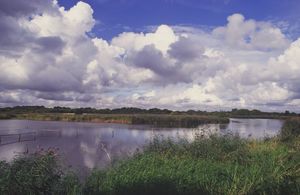 River Meon