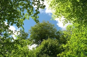 Tree and plant health biodiversity summit