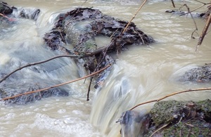 Image shows the discoloured polluted water in the Dyke