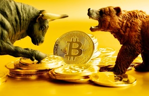 Bitcoin Bull Bear